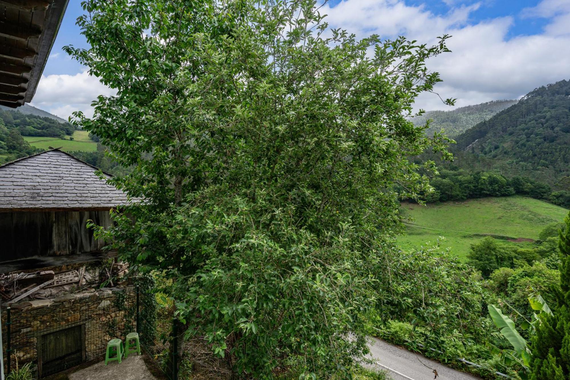 Вілла Maseda 1 Villayon Екстер'єр фото